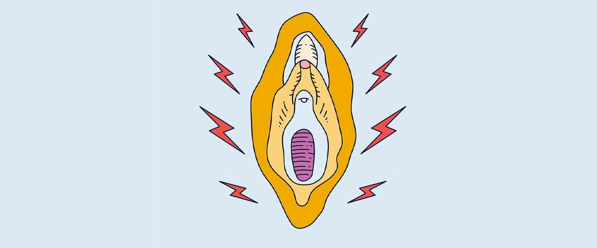 Vulva image